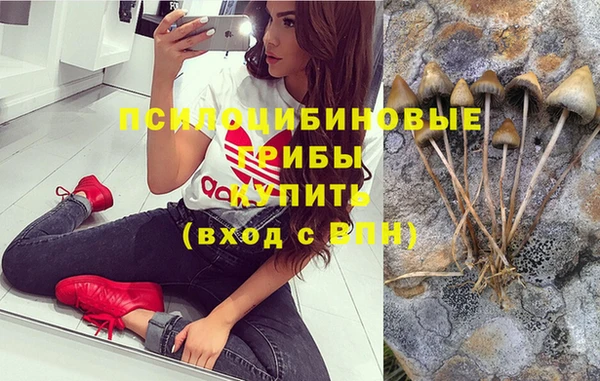 винт Абинск