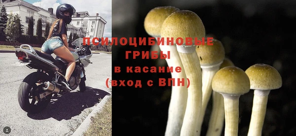 винт Абинск